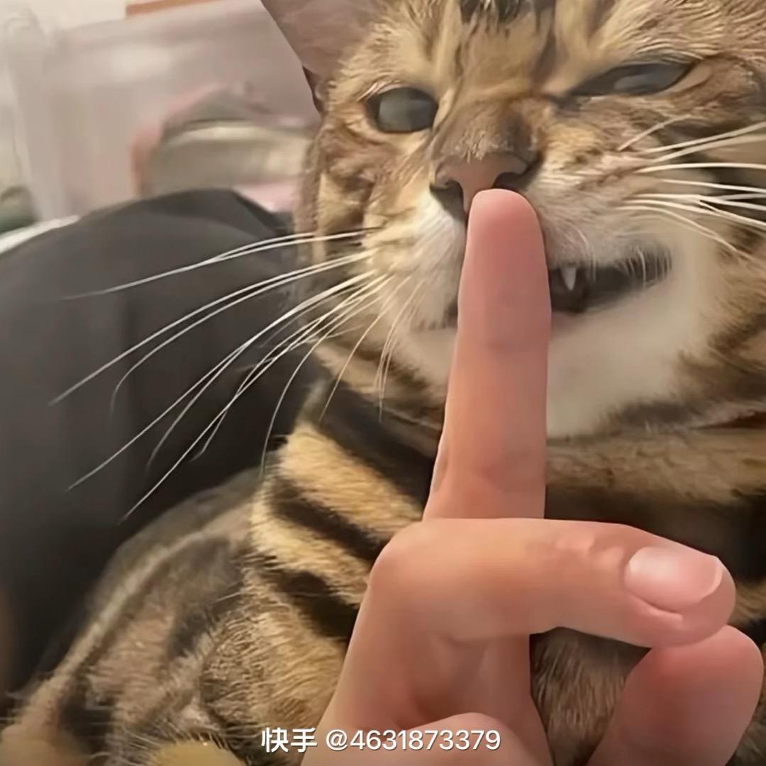 八宝粥不爱喝粥