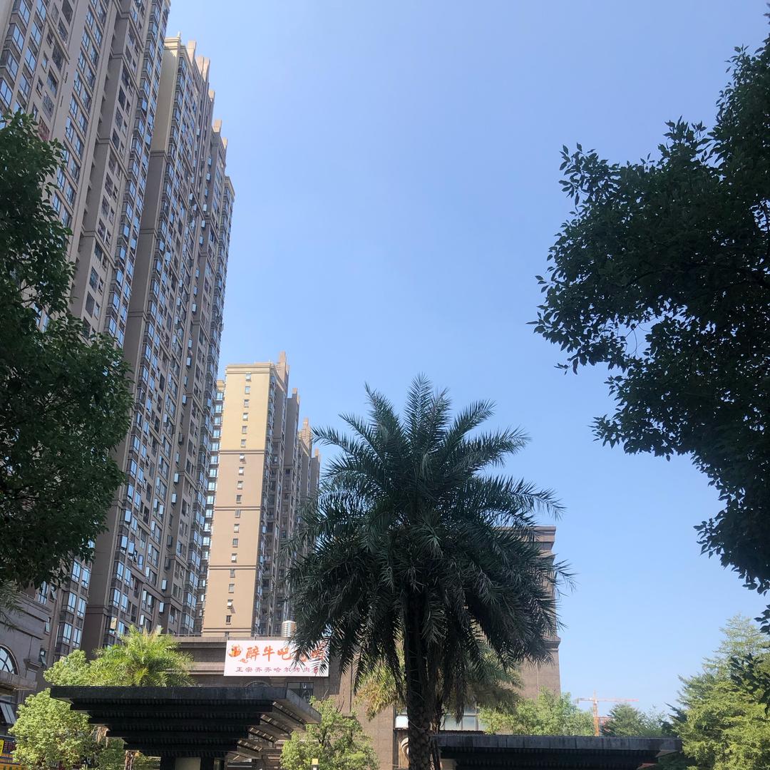王丫丫好物