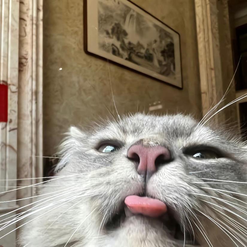 Max