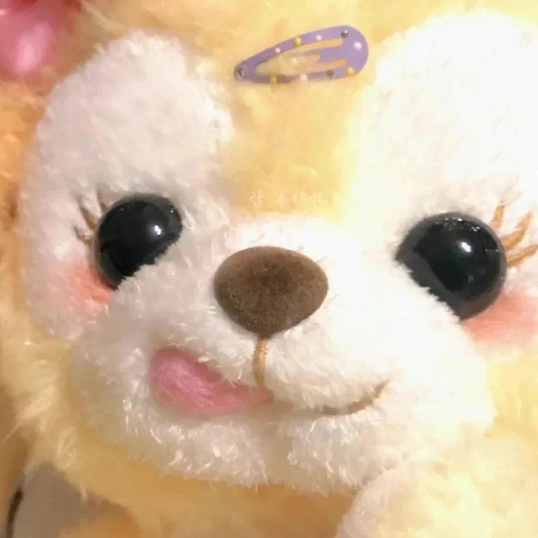 弥弥美好收藏铺🥰