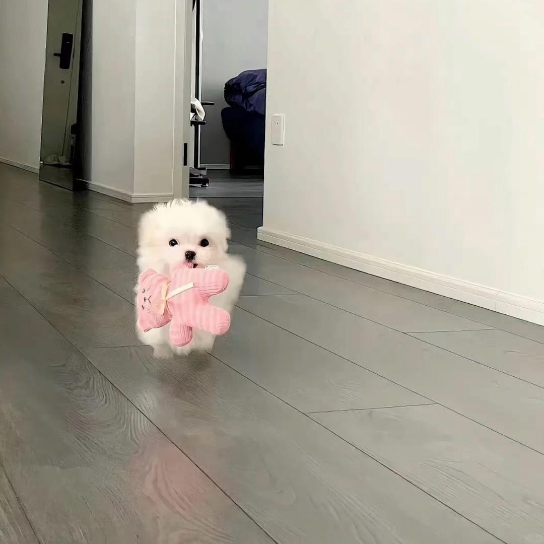 念珠