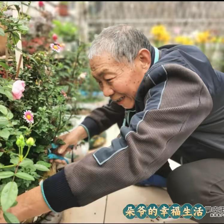 老袁 园艺