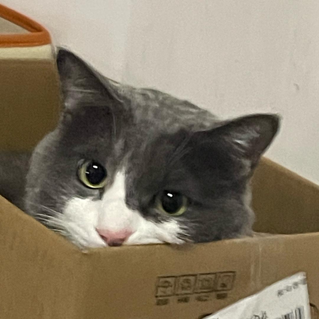 第十页