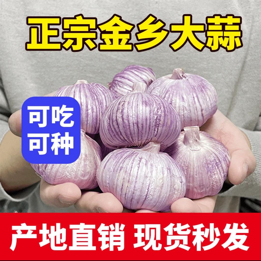 山东金乡生鲜店