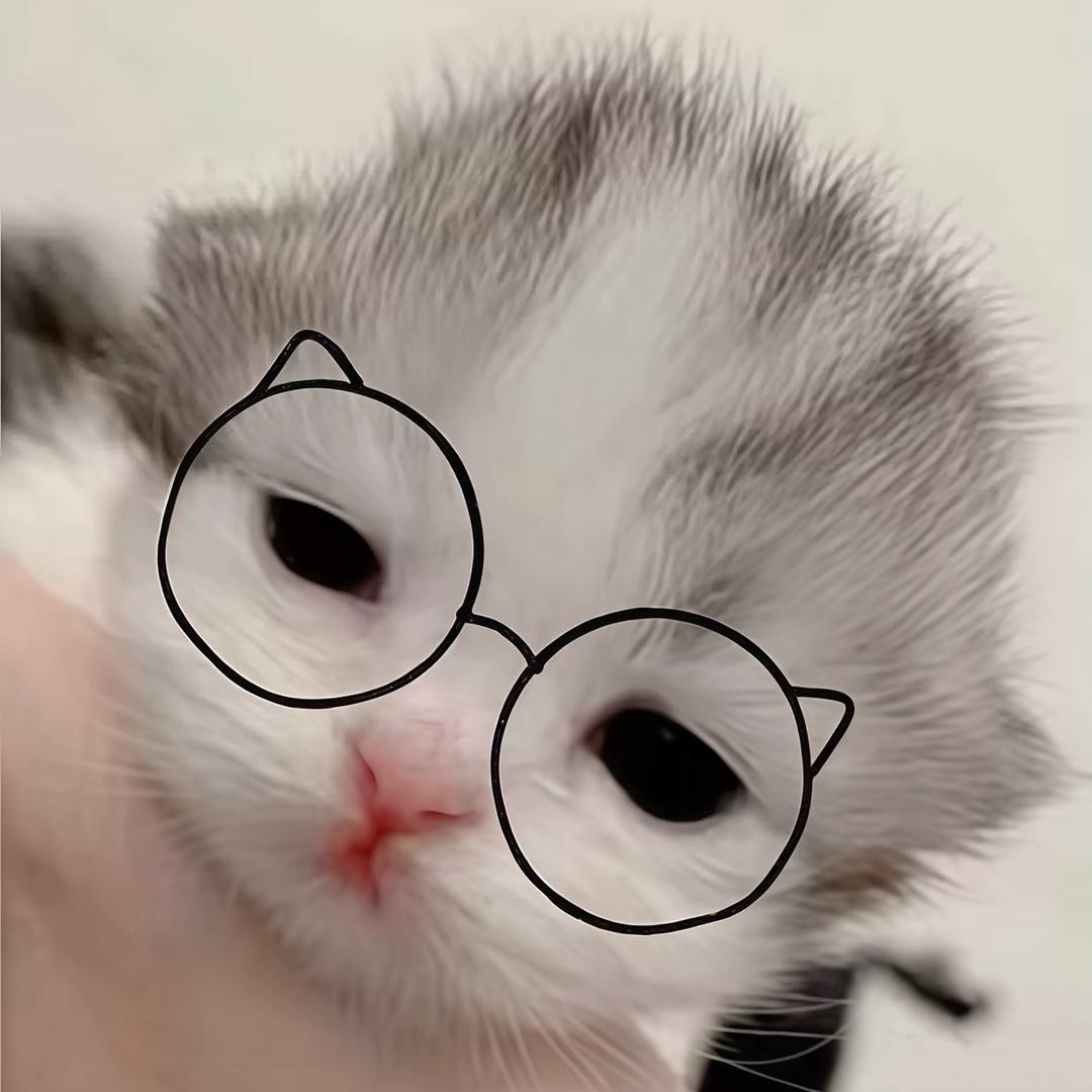 ㅤㅤㅤㅤ ㅤㅤㅤㅤ ㅤㅤㅤ ㅤㅤㅤㅤ曦子