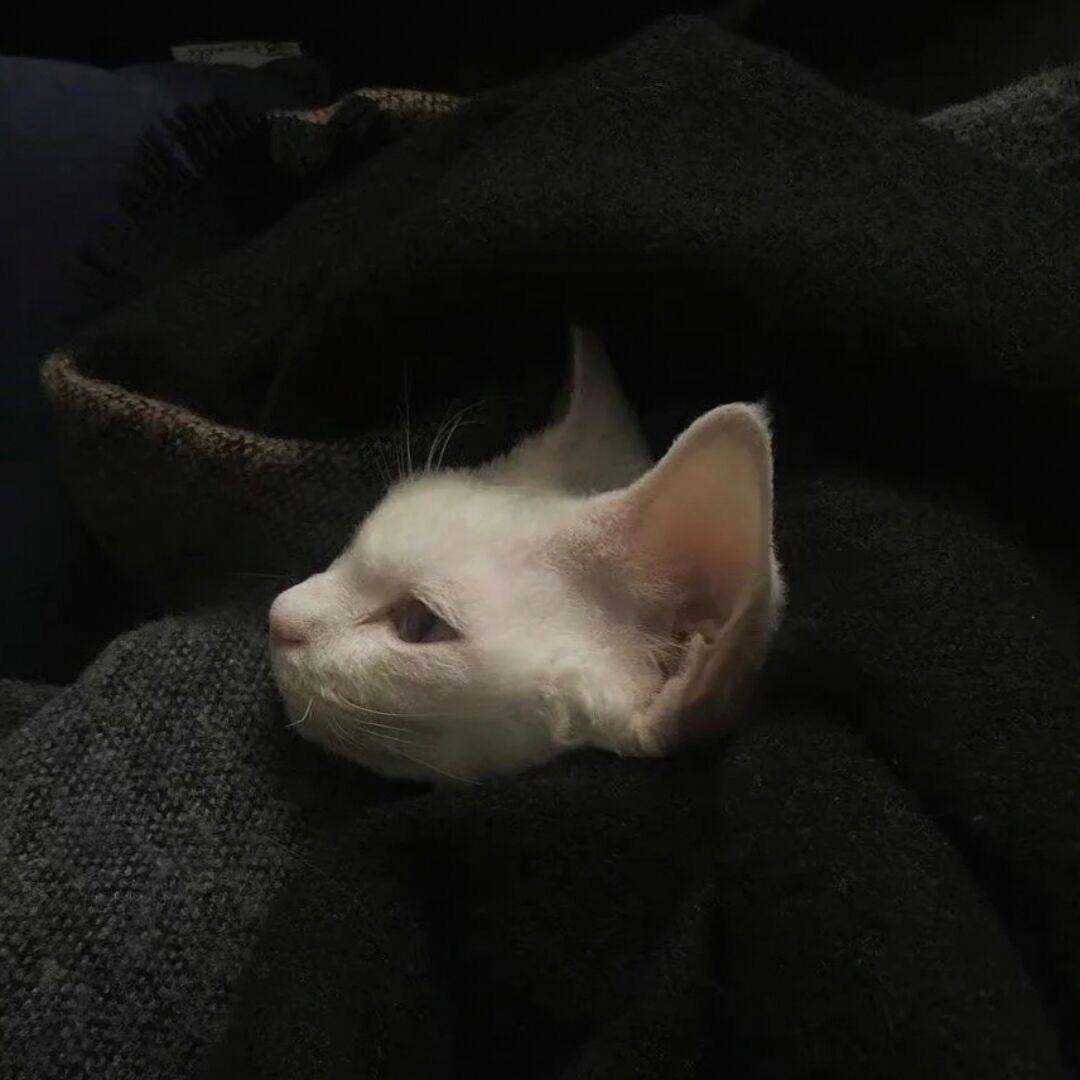 @•