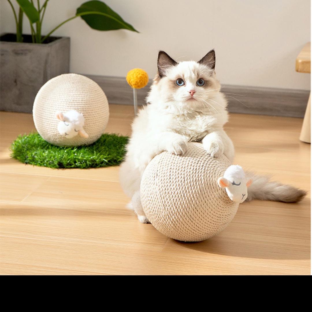 萌众众宠物用品
