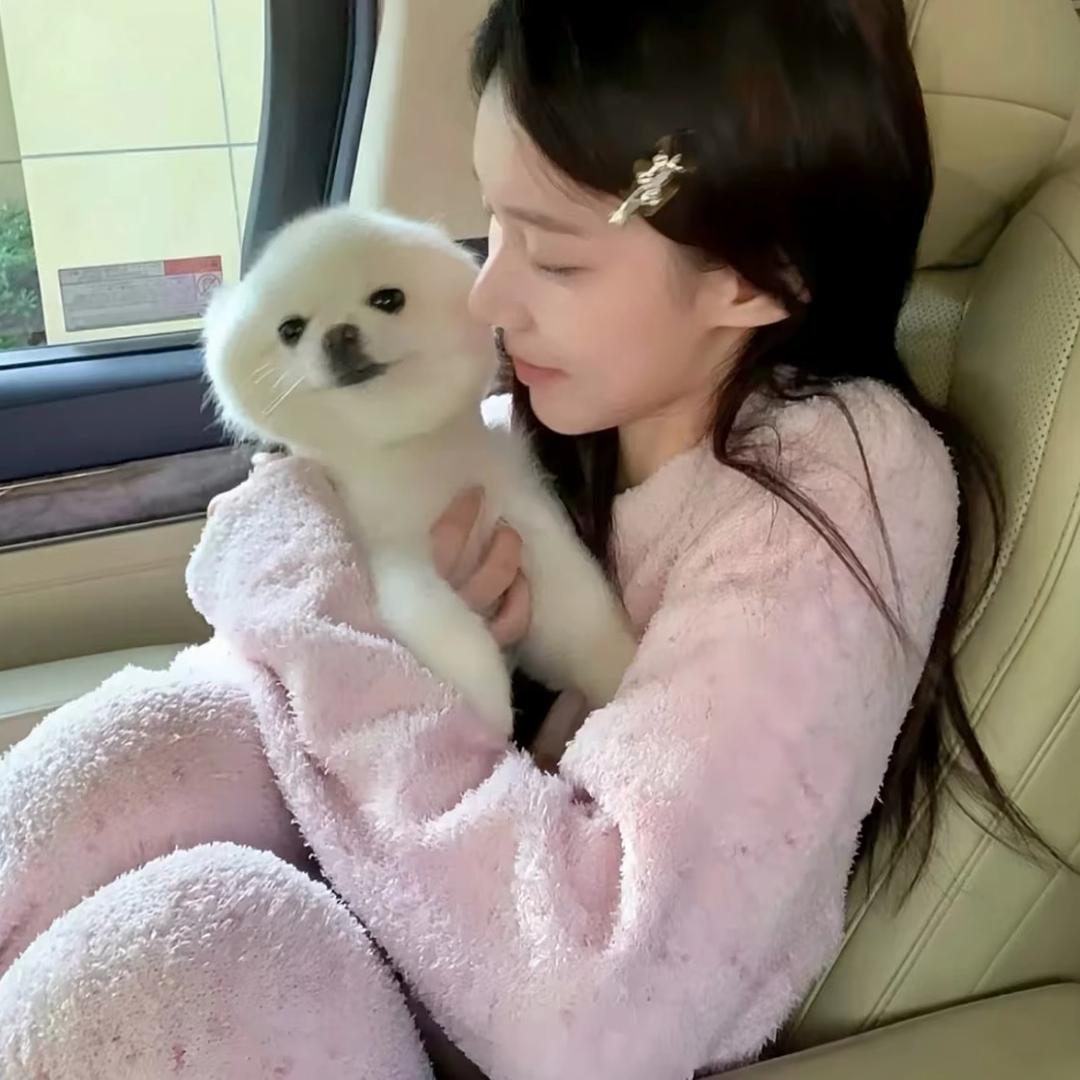 诗 诗