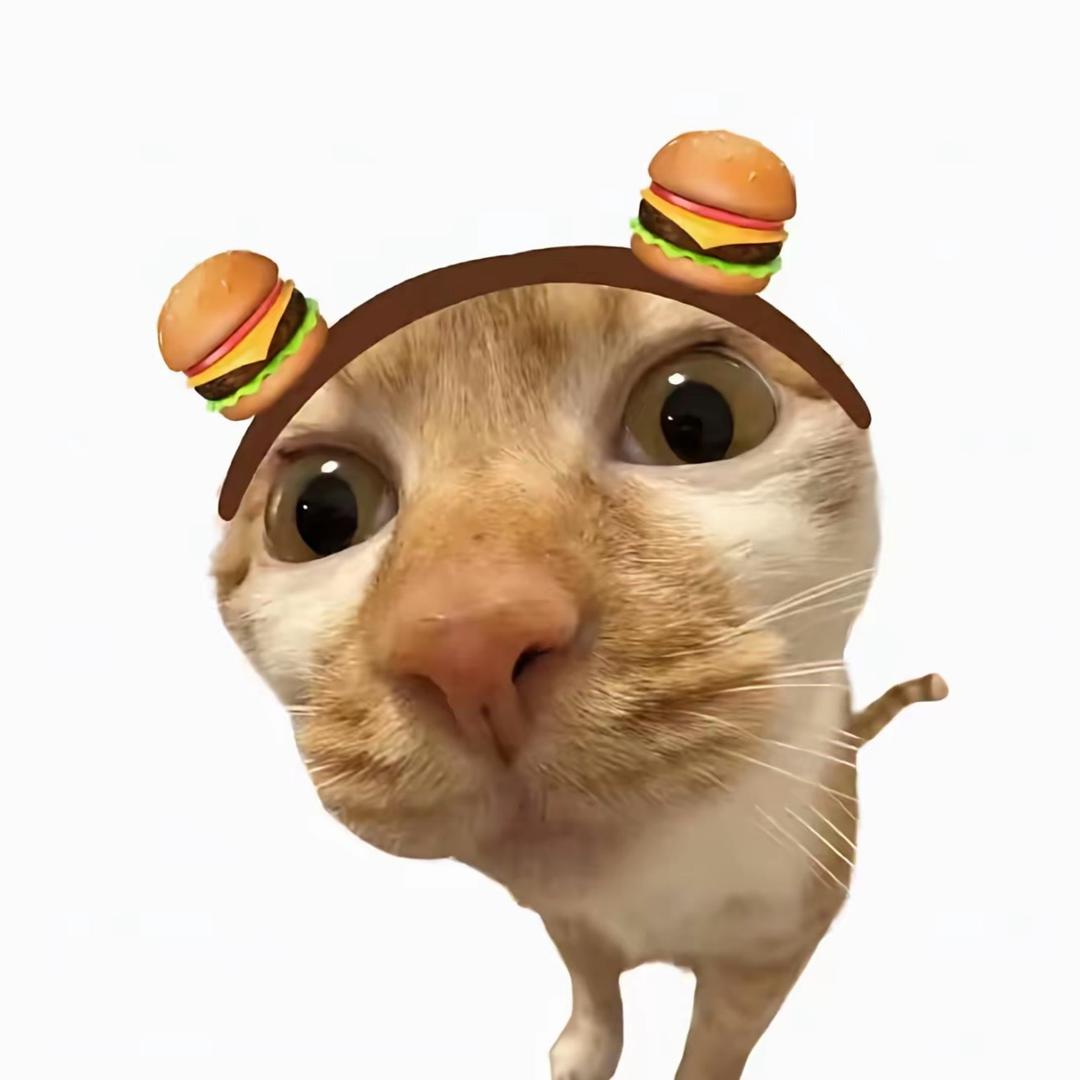 谁是猫meme