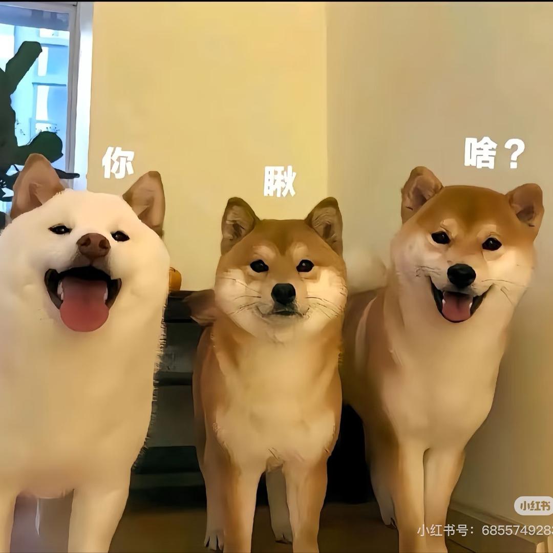 💰公主請໊ཀྃ發財^_−☆
