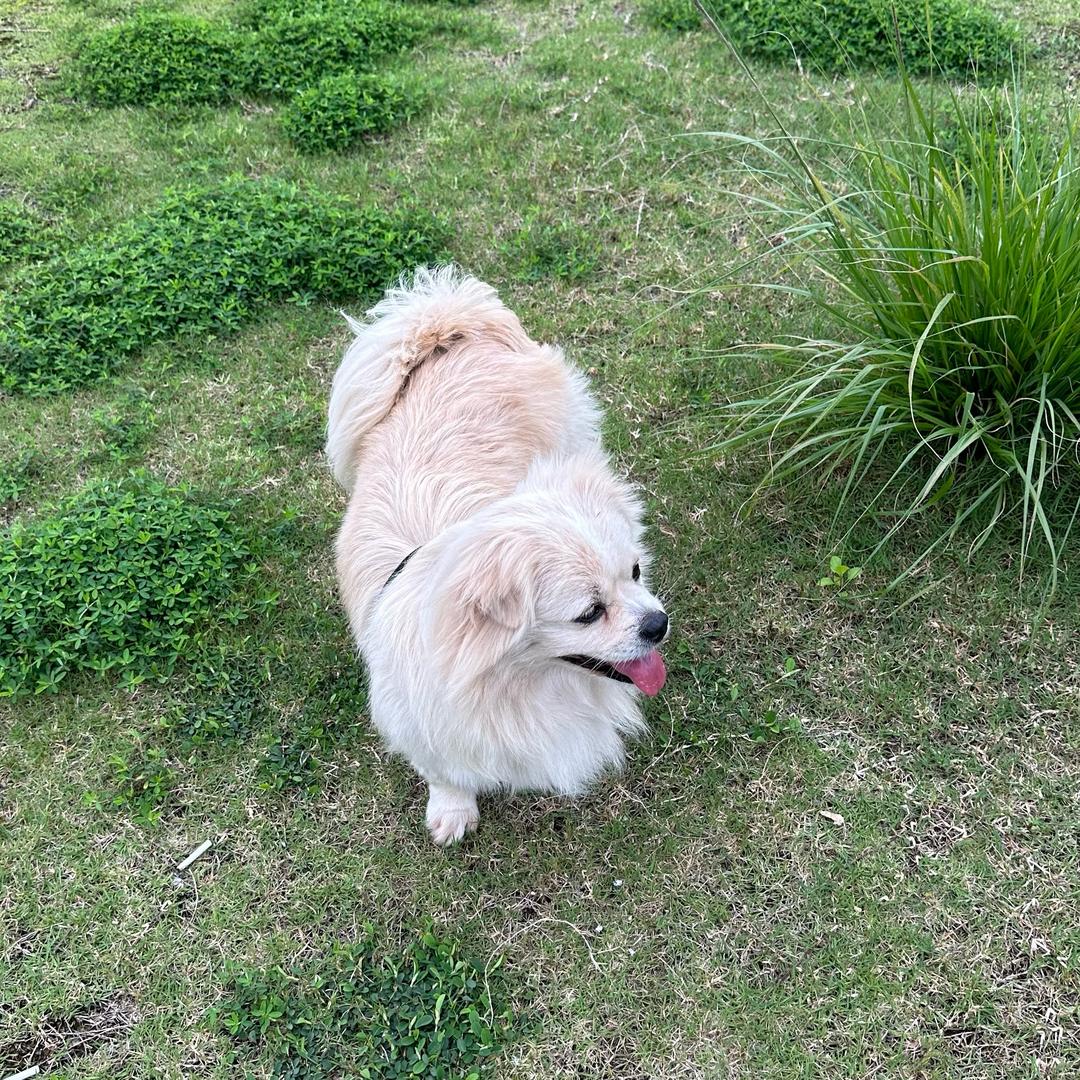 一花一世界