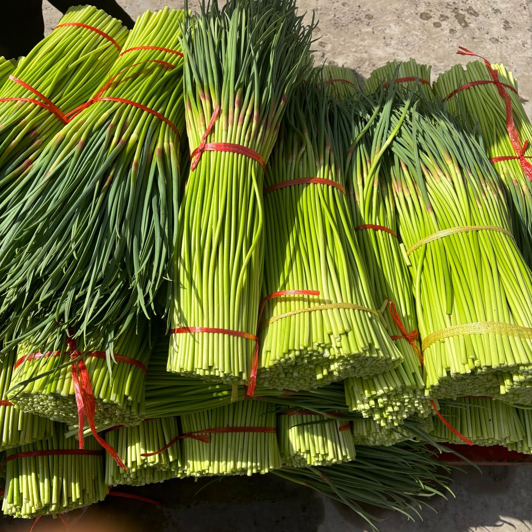 专业代收代发大蒜蒜薹
