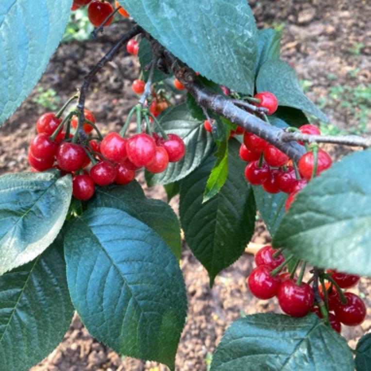 便民生鲜店山东仓