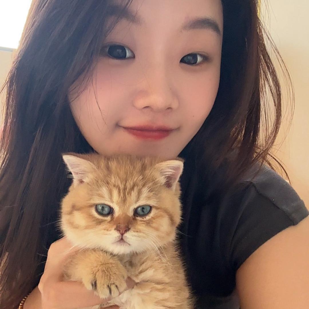 彩虹的金银财宝