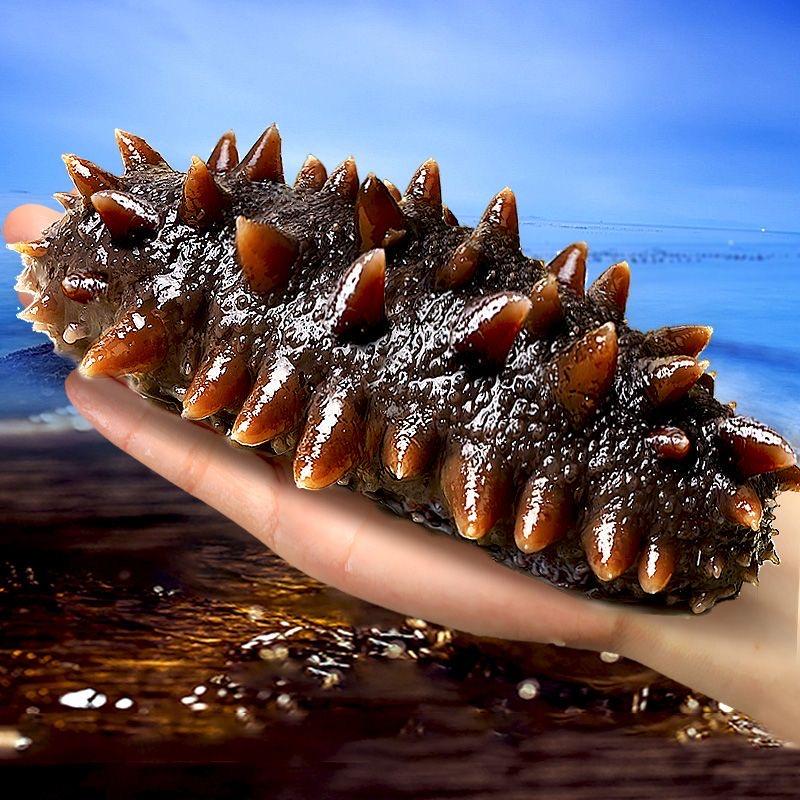 大连沙山海参工厂