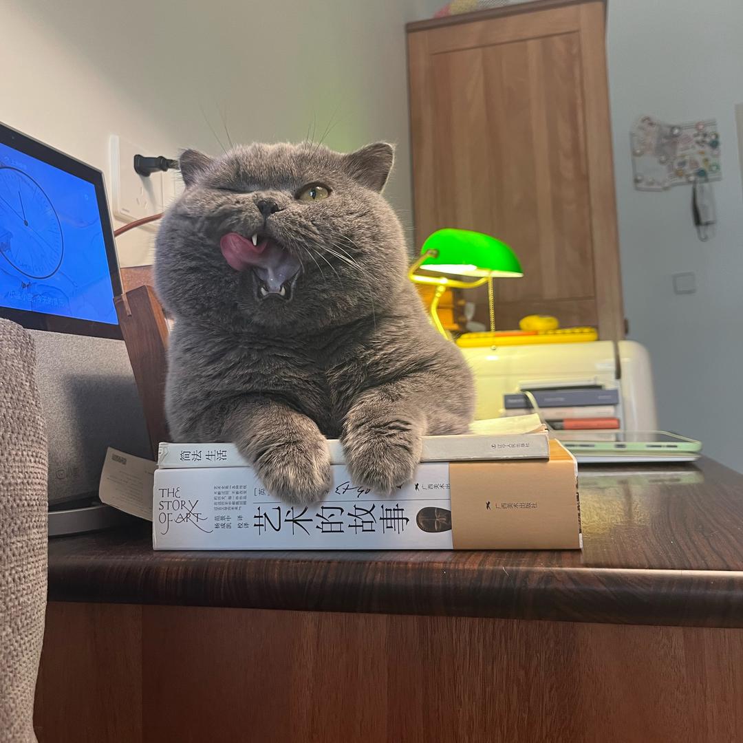有个蓝猫叫加菲