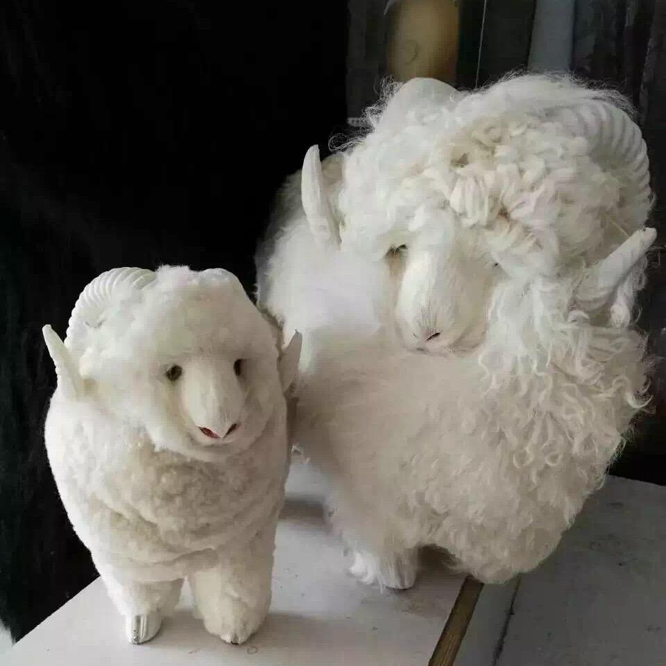 西域皮业