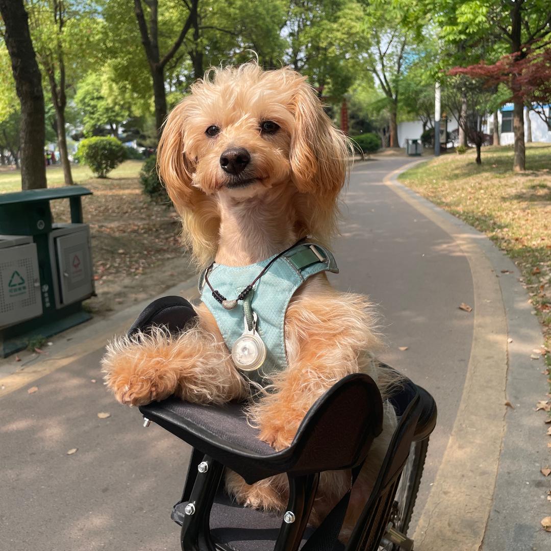 故事的结局也有真假.