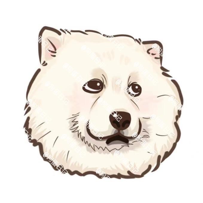 狗蛋日记