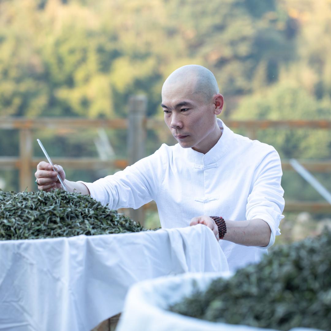 郑海峰  传世茶业