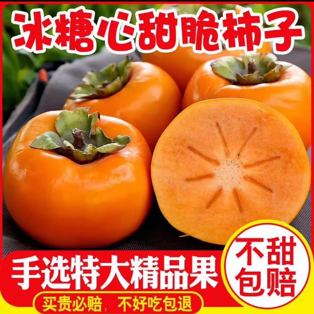 精品购物店2号店