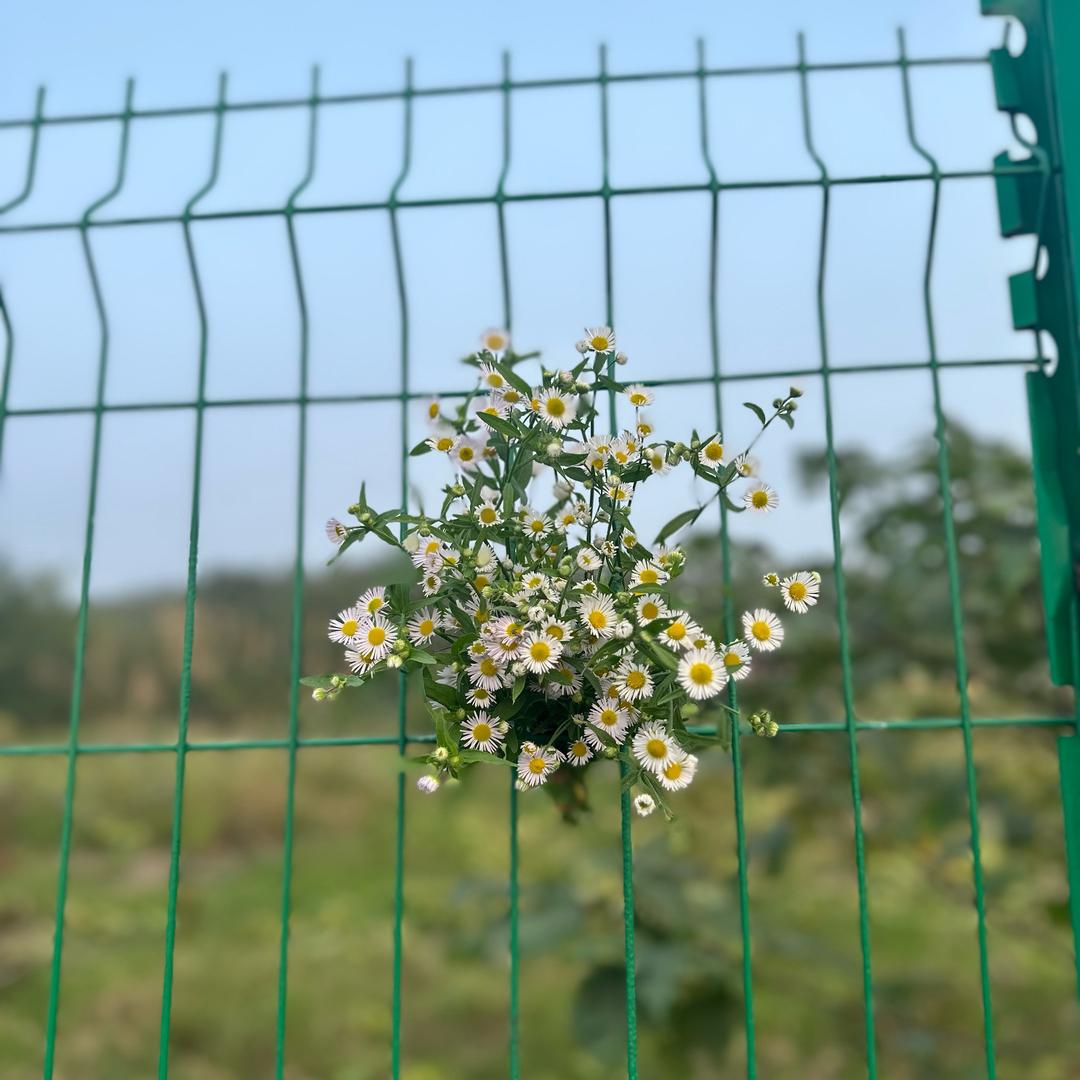 再见只是陌生人