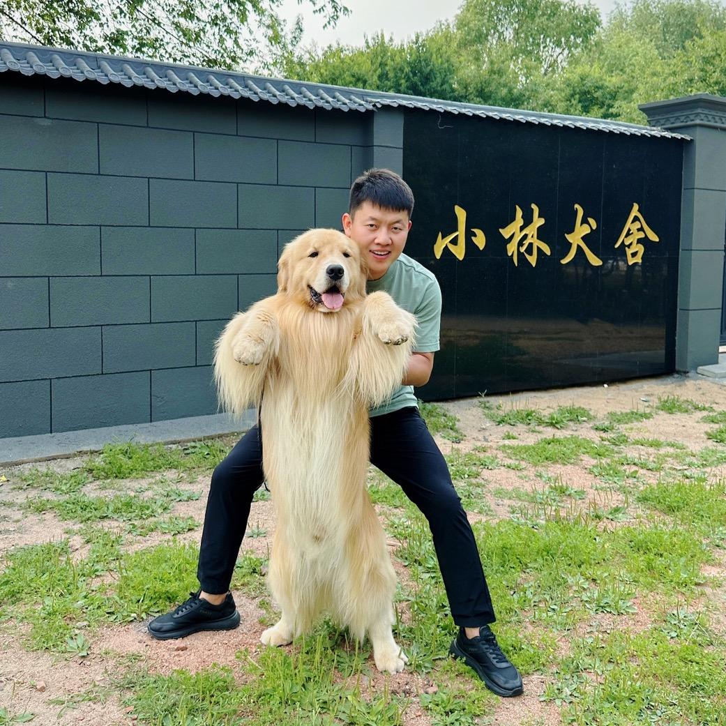 小林犬舍