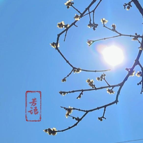 芳语