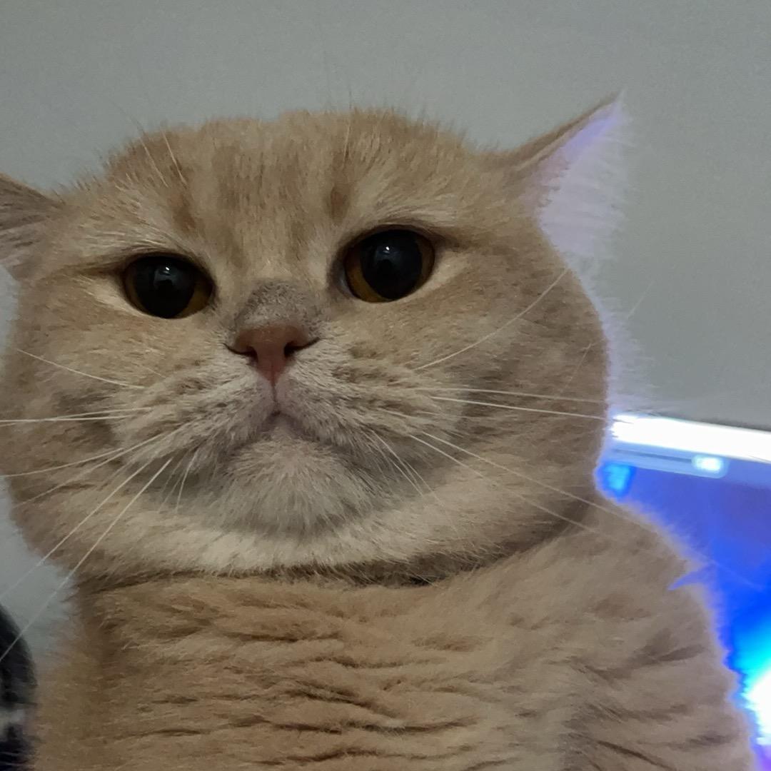 听风～