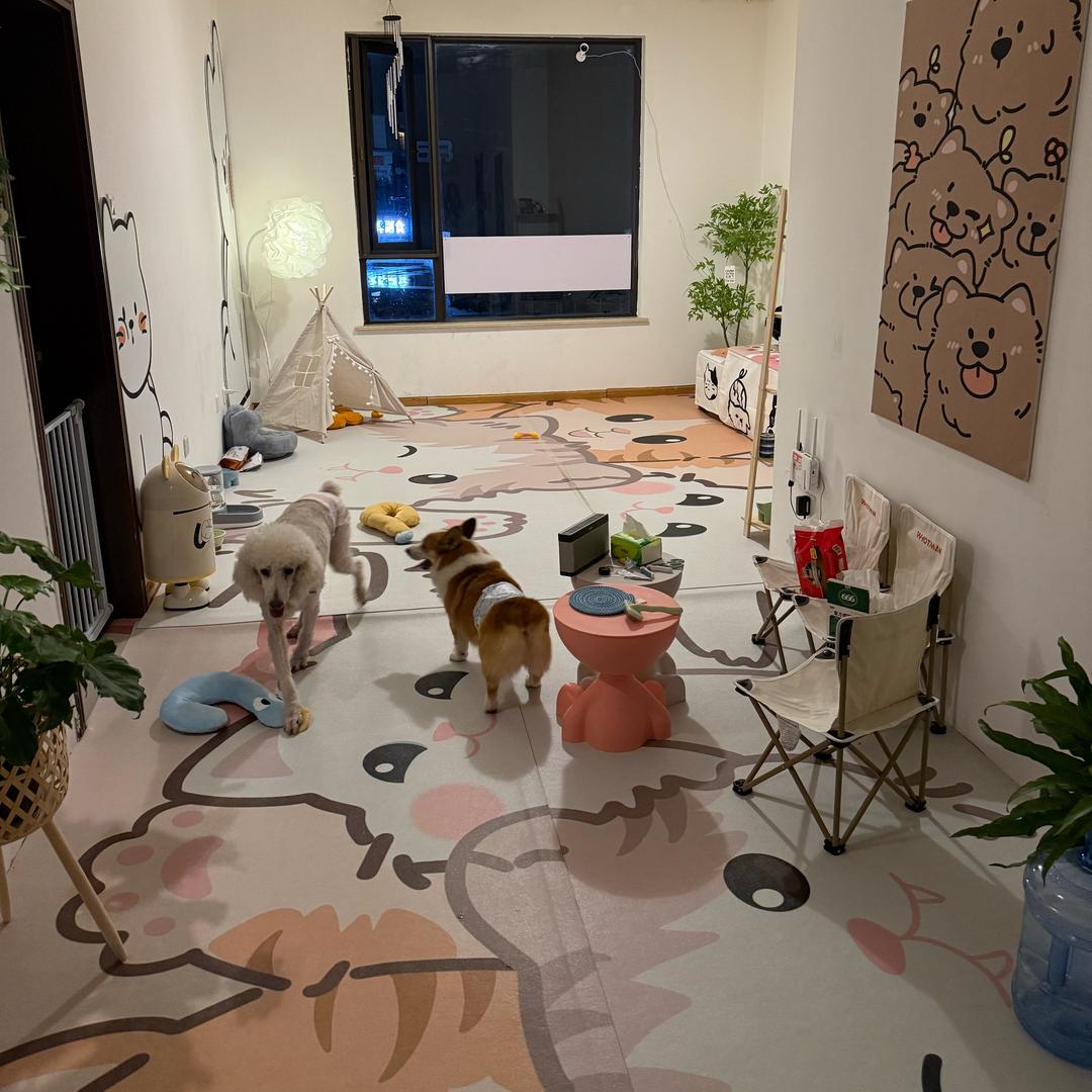 萌主生活馆（宠物家庭寄养）