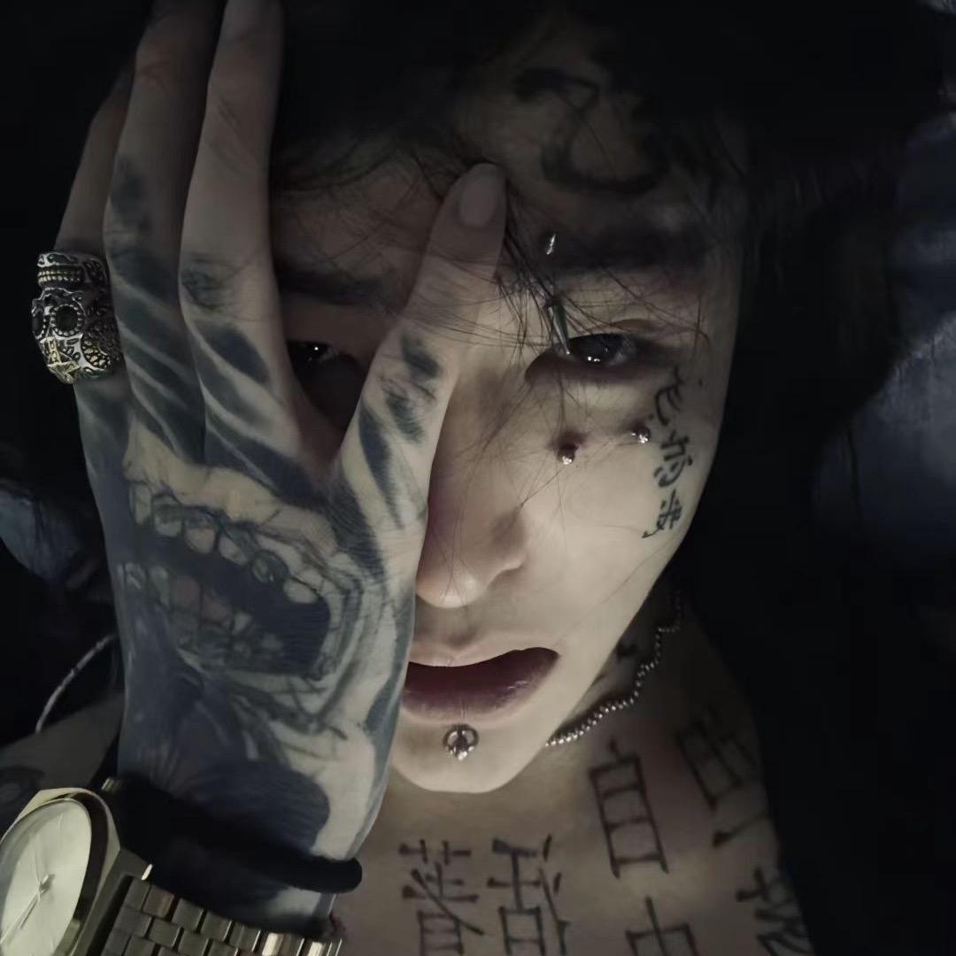丹晚梦星辰
