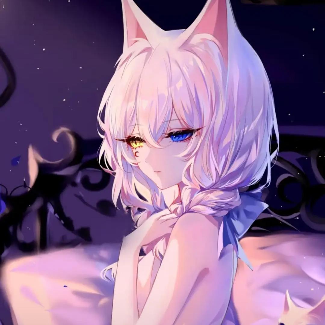 DNF可爱大橘猫（增幅，账号，团本