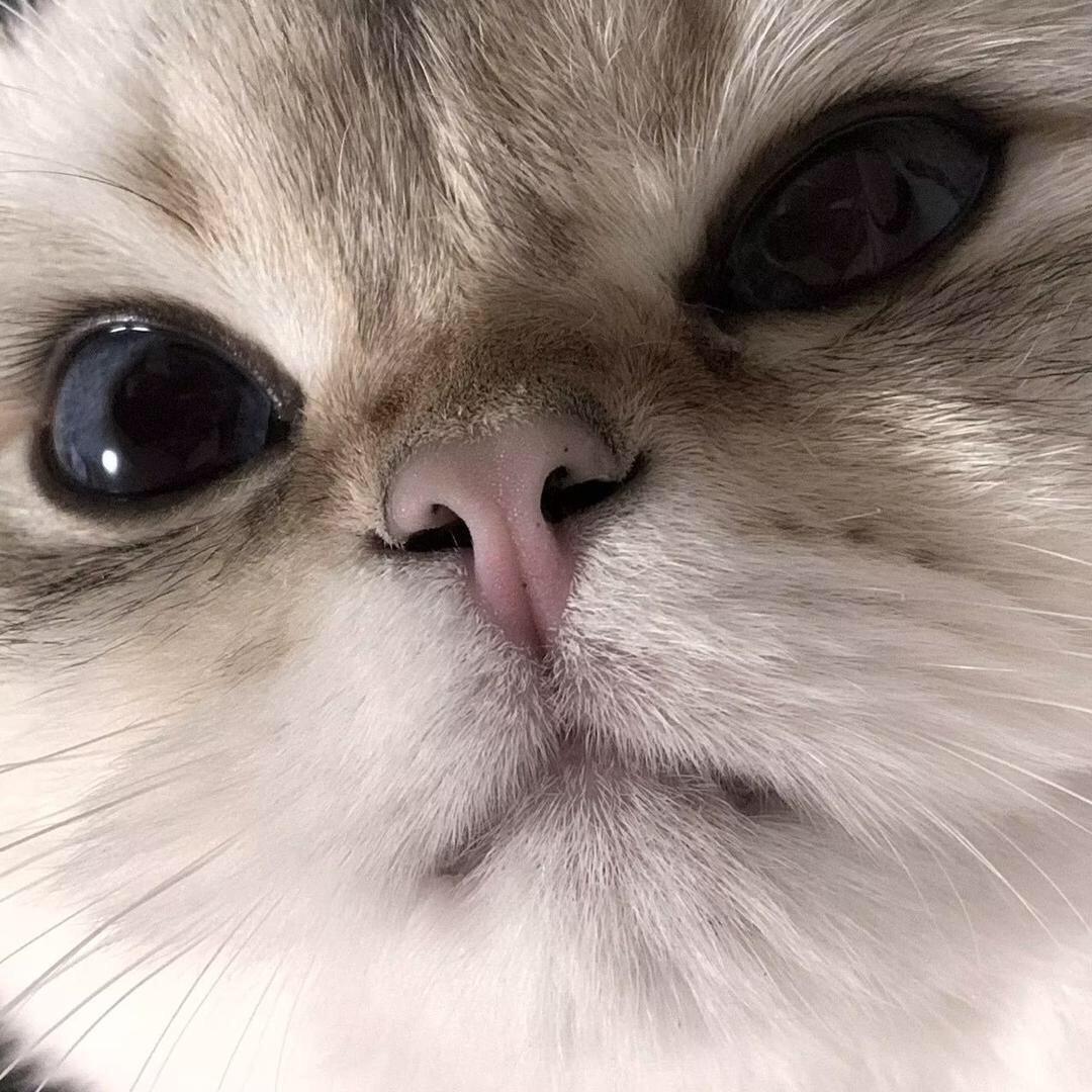 哭哭