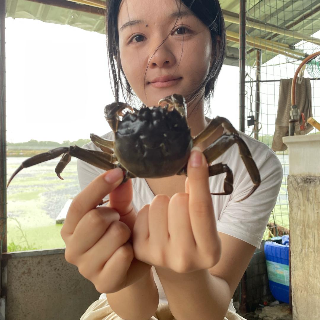 小李同学（卖螃蟹🦀）