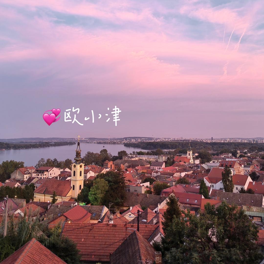 欧小津