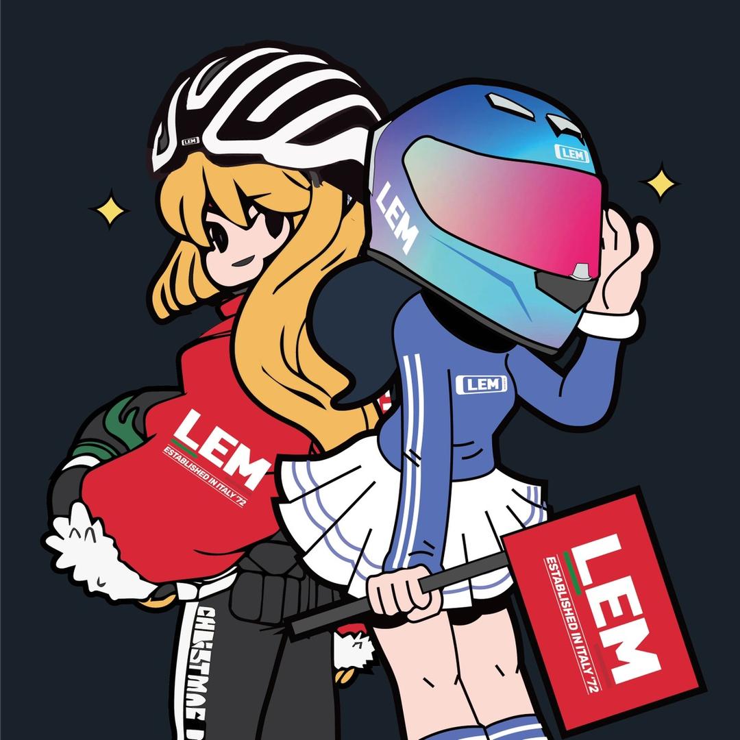 LEMHELMETS