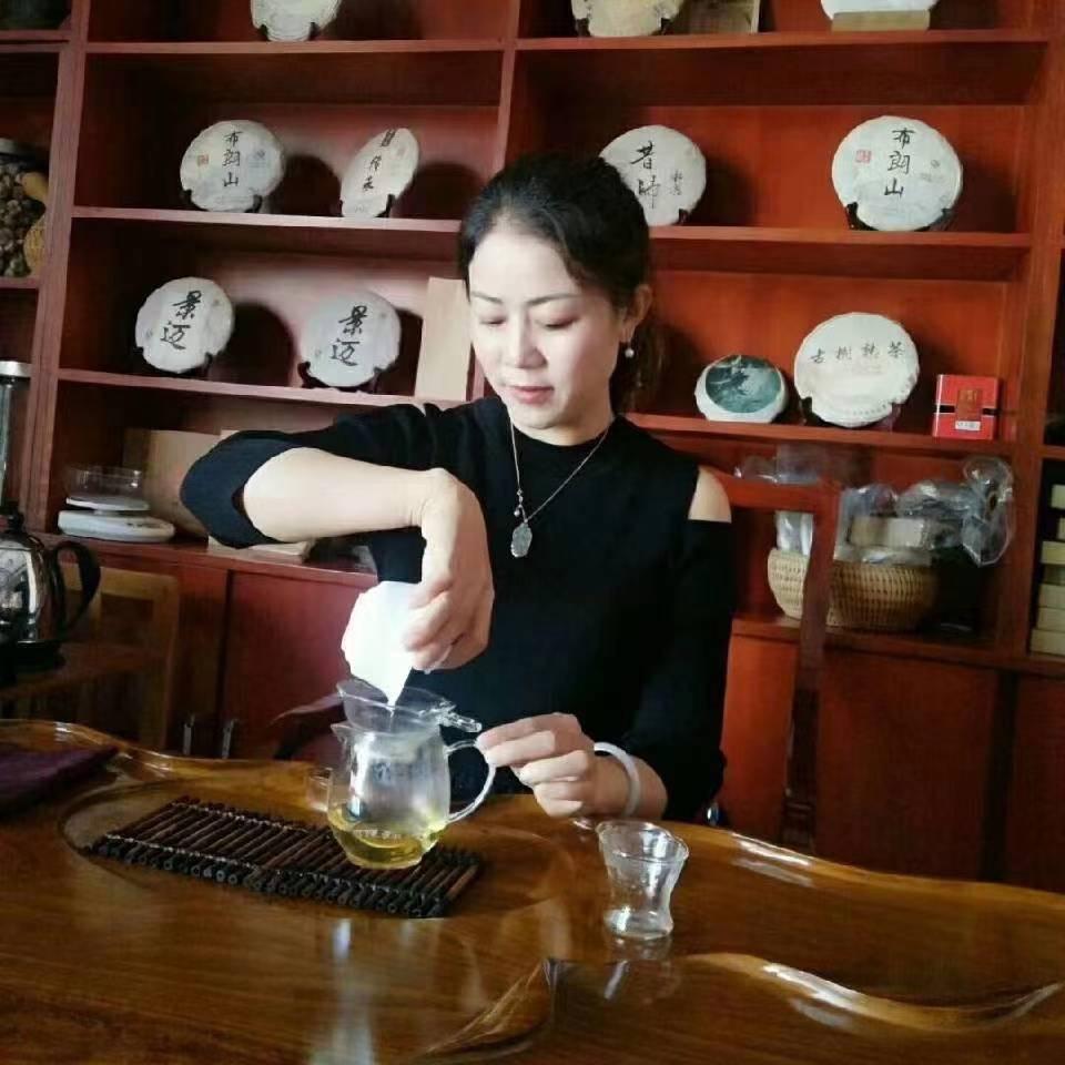 勐海至臻之茶行
