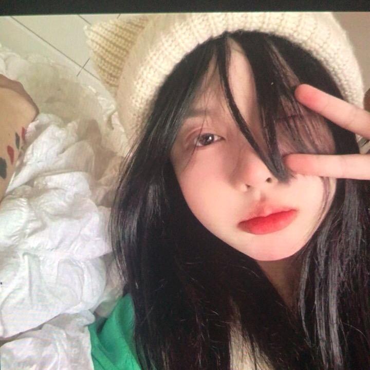 菲德