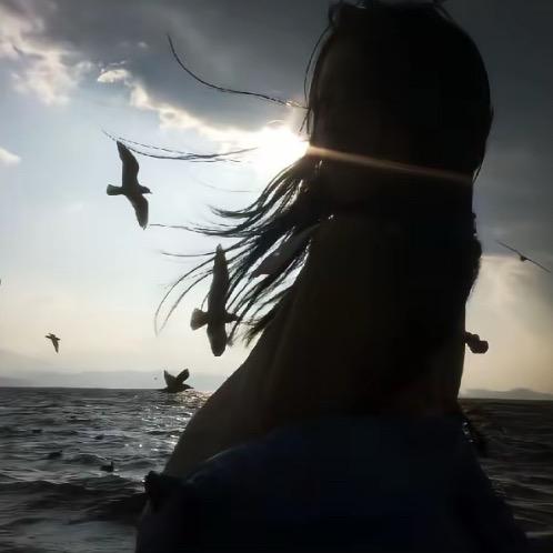 琳婍🦋