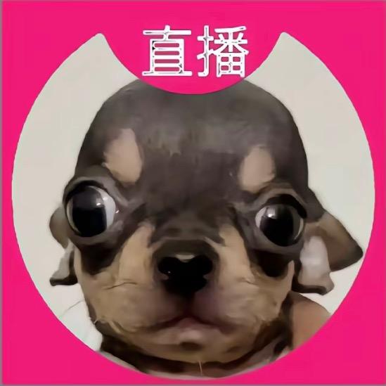 番茄番茄范🍚