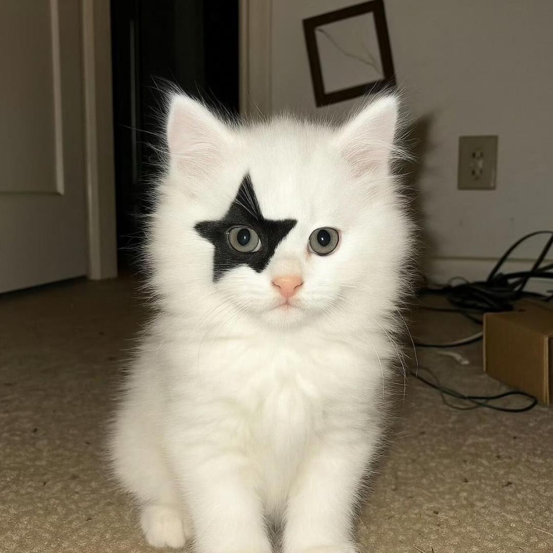 发现暗恋的直男在推特做0连夜跑路