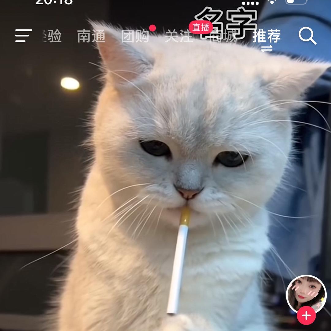 小男人👨