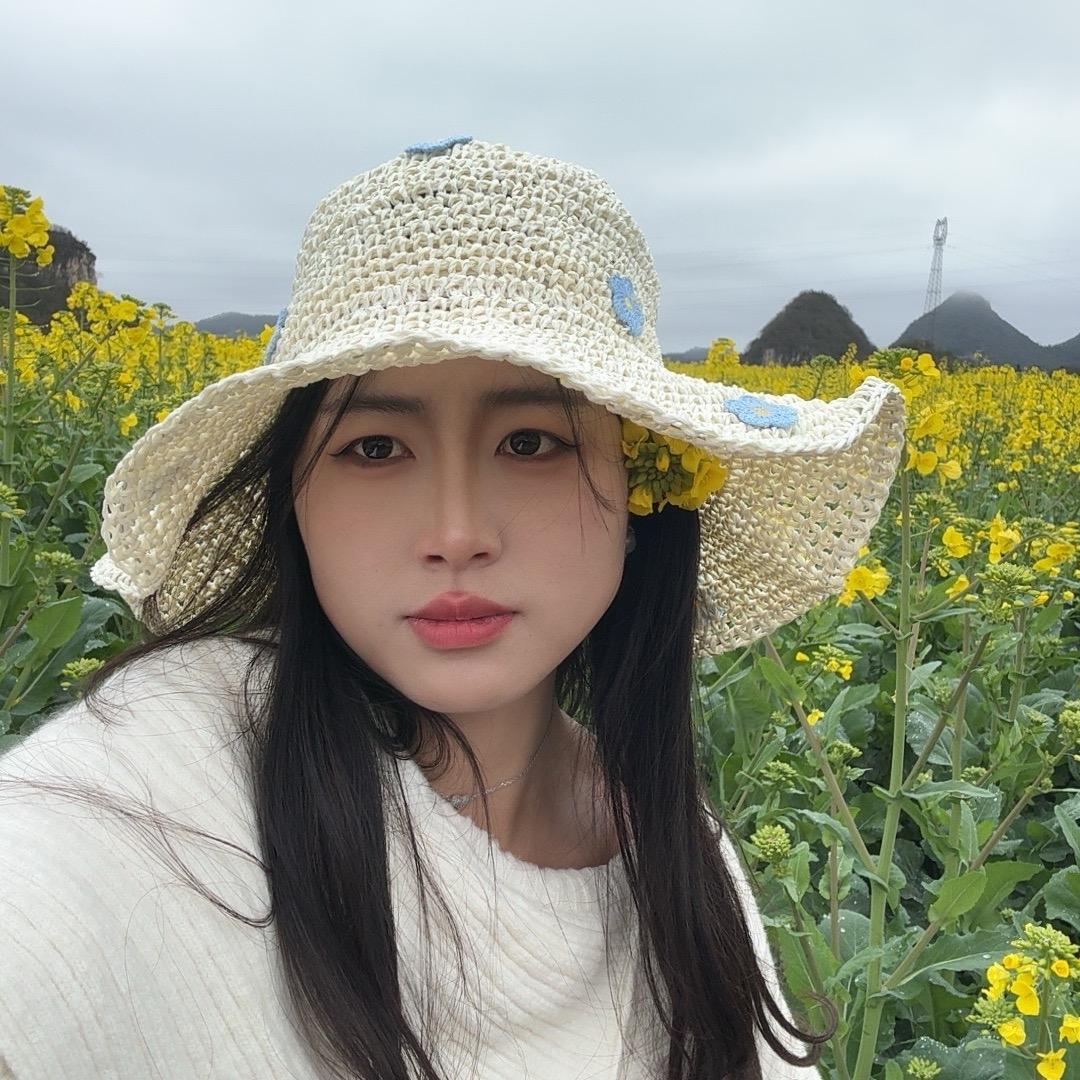 糖炒李子·