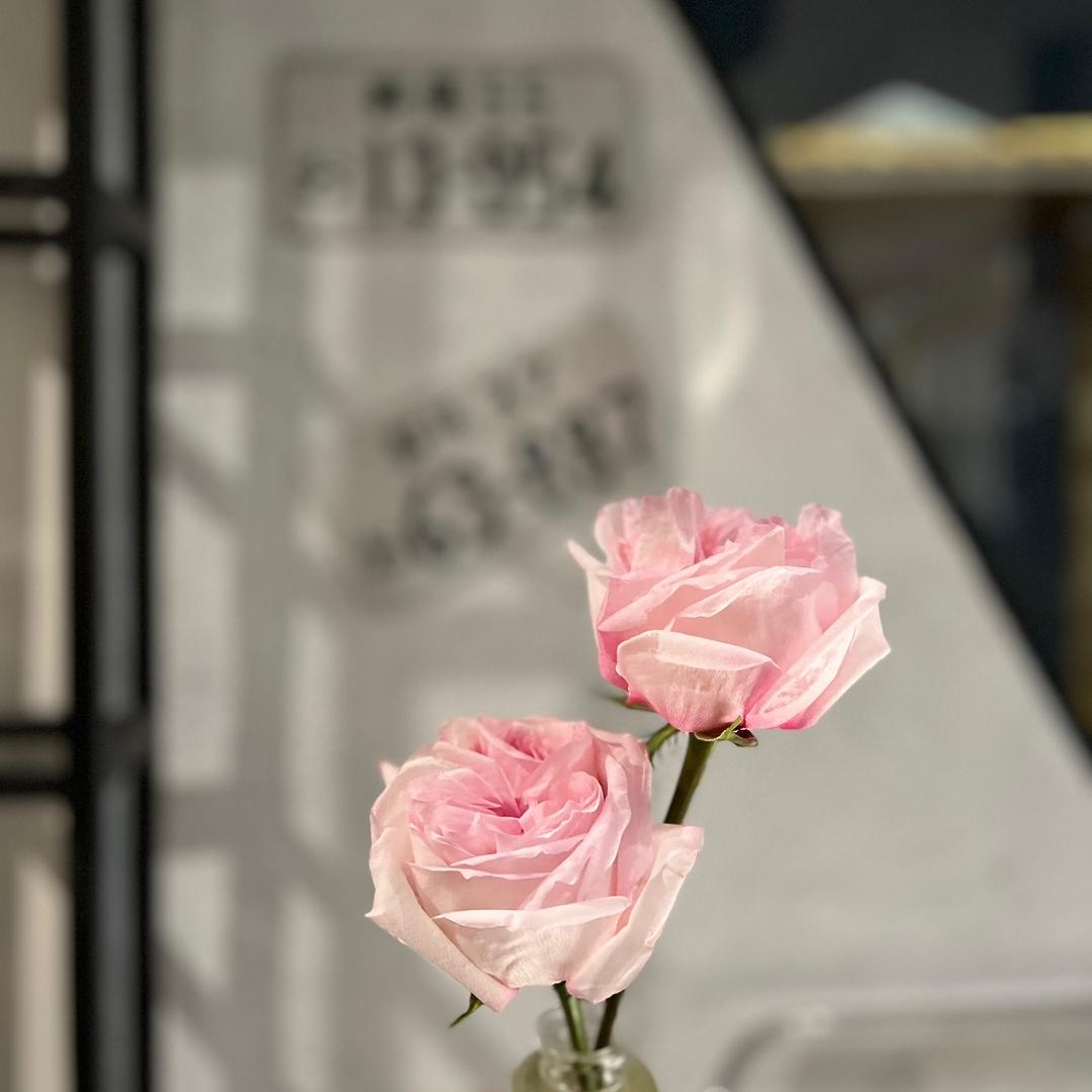 蜡笔小新没有眉毛