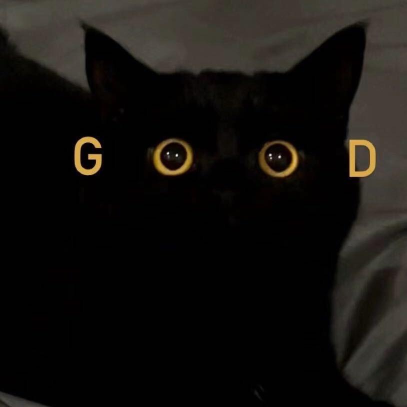 曾经𝑨𝒖𝑫𝒊