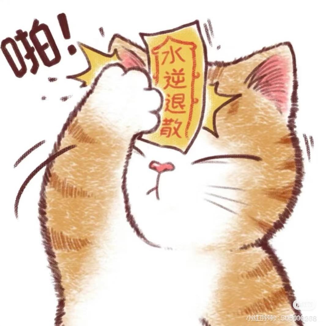 油猫饼