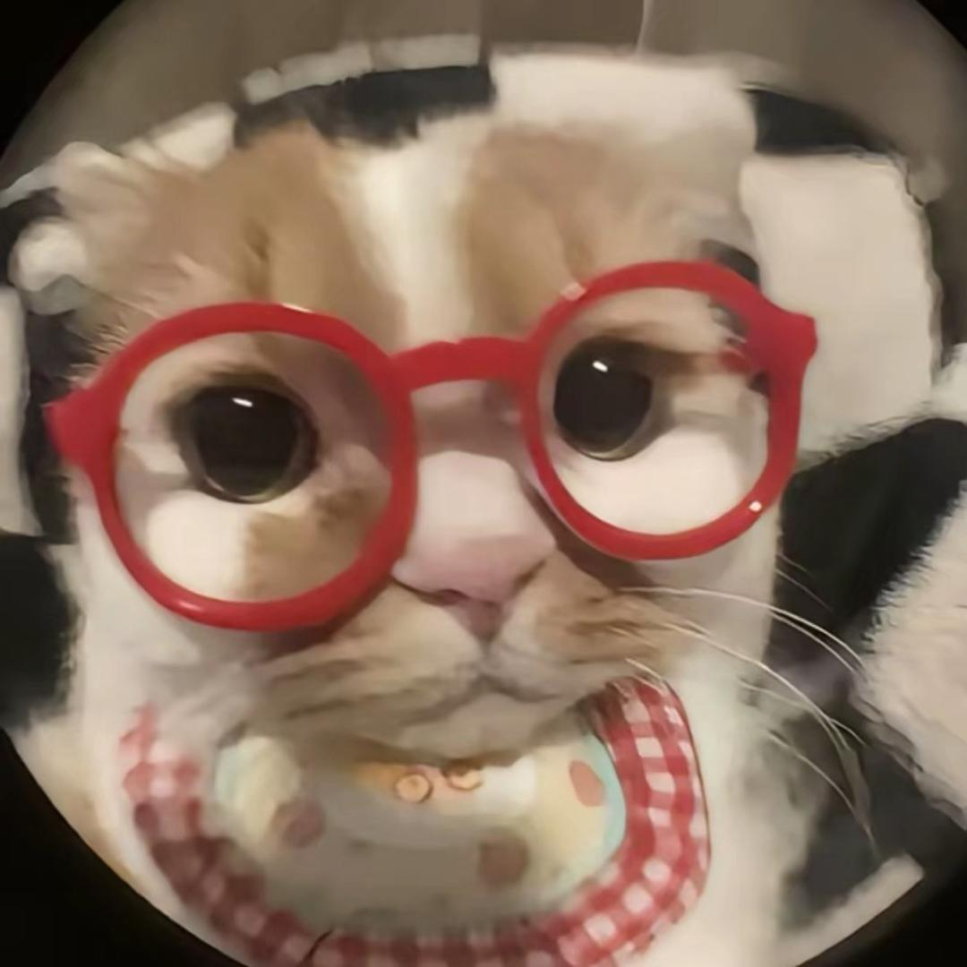 南南北北