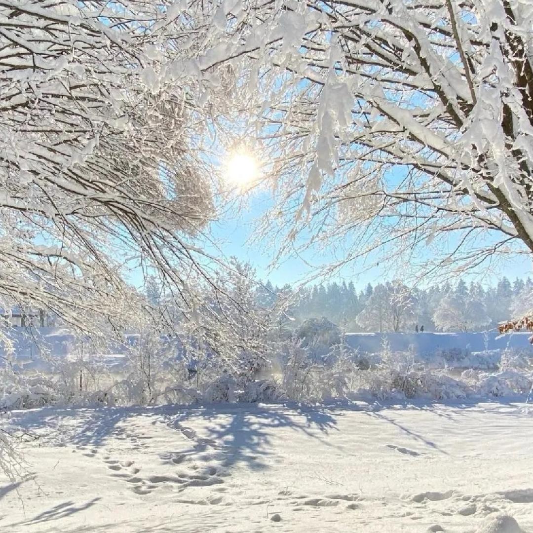 青出于蓝（倾听师)