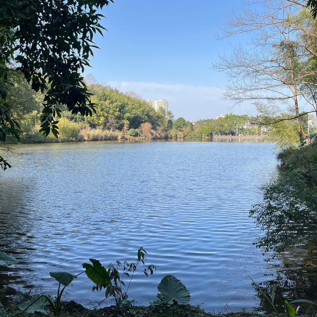 ღ安静ꦿᮨ້໌࿐