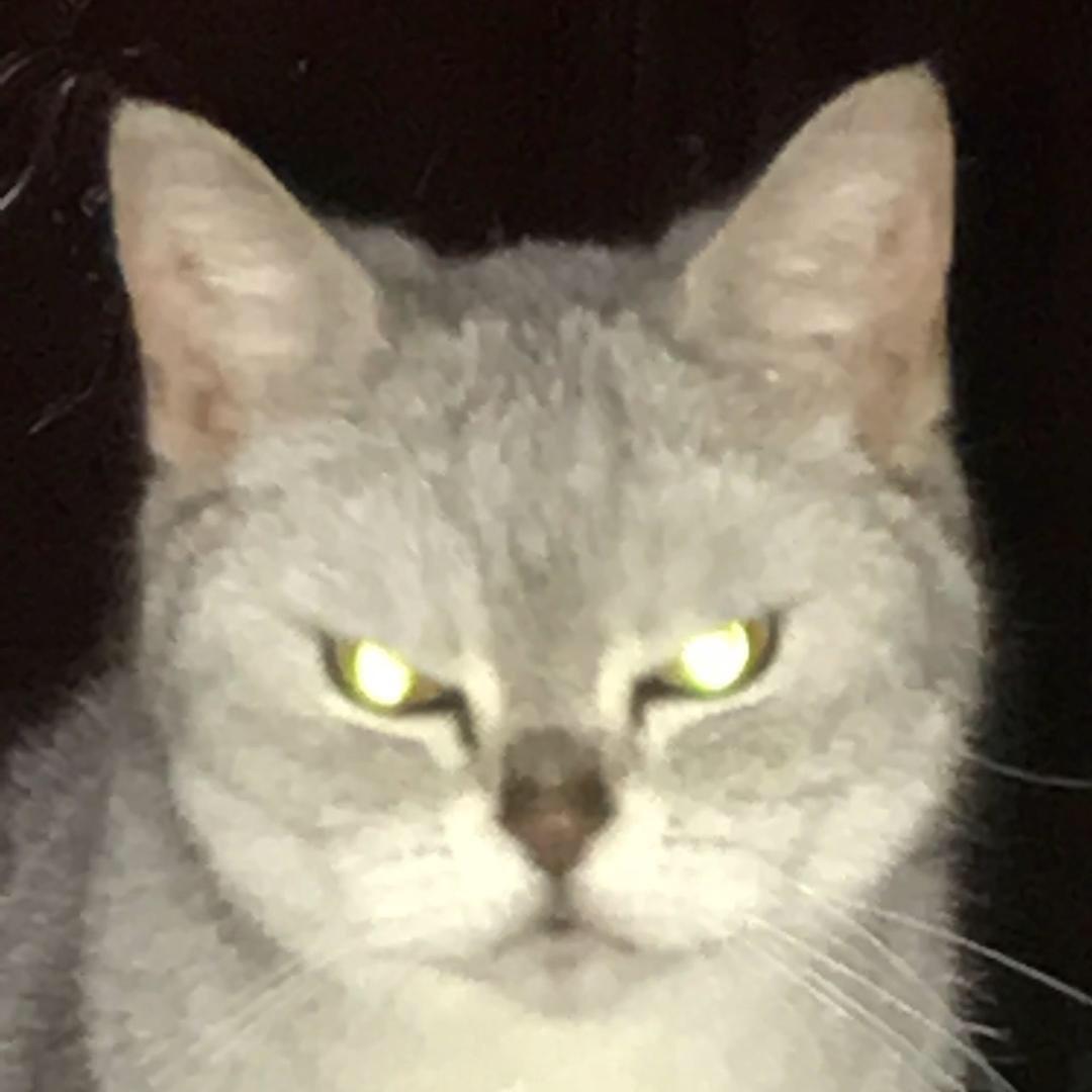 善良.